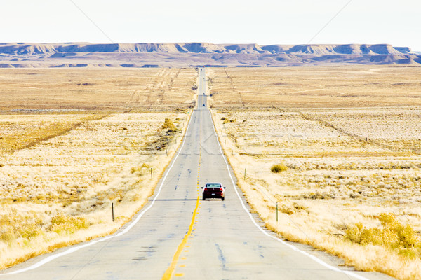 road transport, Colorado, USA Stock photo © phbcz