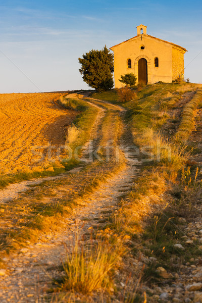 Kapel lavendel veld plateau gebouw reizen architectuur Stockfoto © phbcz