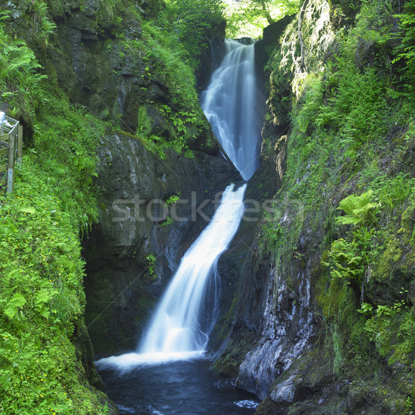 Stock photo: Glenariff Waterfalls, County Antrim, Northern Ireland