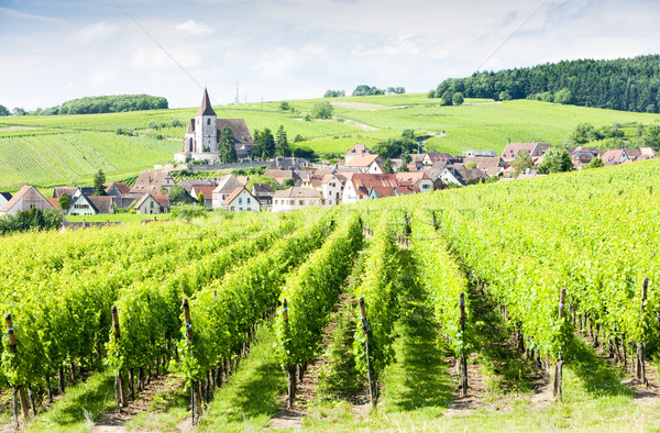 Hunawihr, Alsace, France Stock photo © phbcz