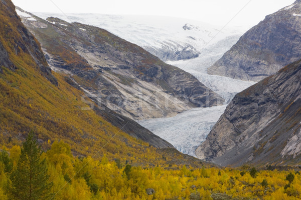 Nigardsbreen Glacier, Jostedalsbreen National Park, Norway Stock photo © phbcz