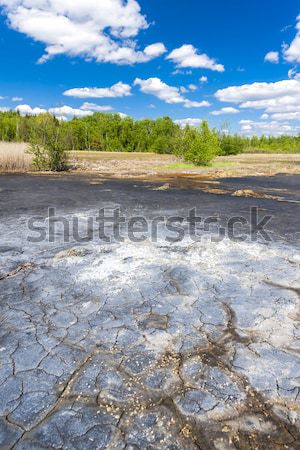 nature reserve called Soos, Czech Republic Stock photo © phbcz