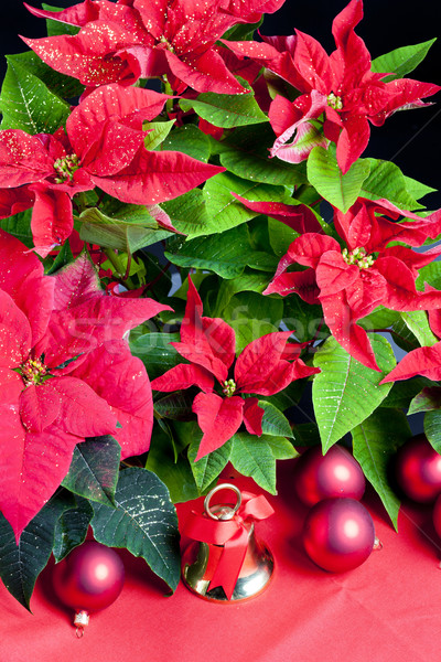 Stock foto: Weihnachten · Still-Leben · Blumen · rot · Objekte · Glocke