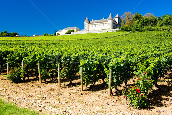 Chateau de Rully with vineyards, Burgundy, France Stock photo © phbcz