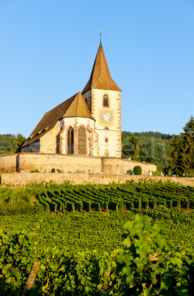 church with vineyard, Hunawihr, Alsace, France Stock photo © phbcz