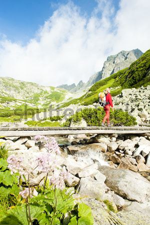 Nő hátizsákos turista nagyszerű hideg völgy magas Stock fotó © phbcz