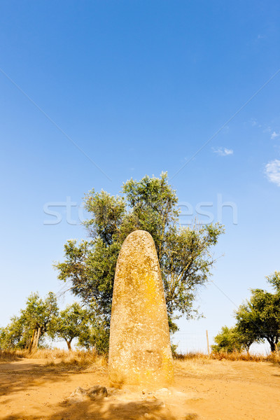 menhir in Almendres near Evora, Alentejo, Portugal Stock photo © phbcz