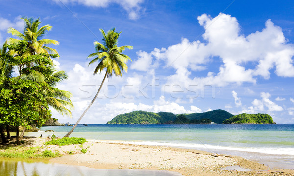 Batteaux Bay, Tobago Stock photo © phbcz