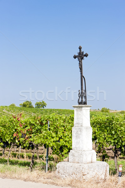 виноградник снизить Австрия природы крест Европа Сток-фото © phbcz