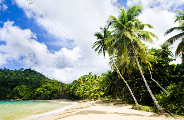 Englishman's Bay, Tobago Stock photo © phbcz