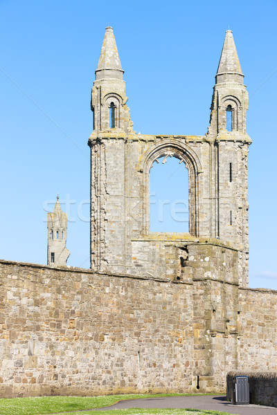 ruins of St. Rule's church and cathedral, St Andrews, Fife, Scot Stock photo © phbcz