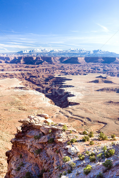 Canyonlands National Park, Utah, USA Stock photo © phbcz