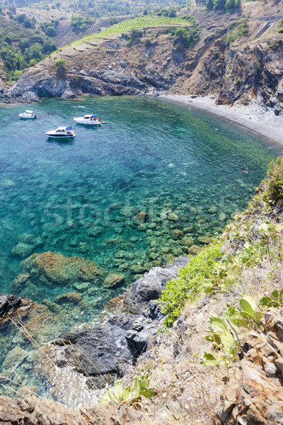 Cap de Peyrefite, Languedoc-Roussillon, France Stock photo © phbcz