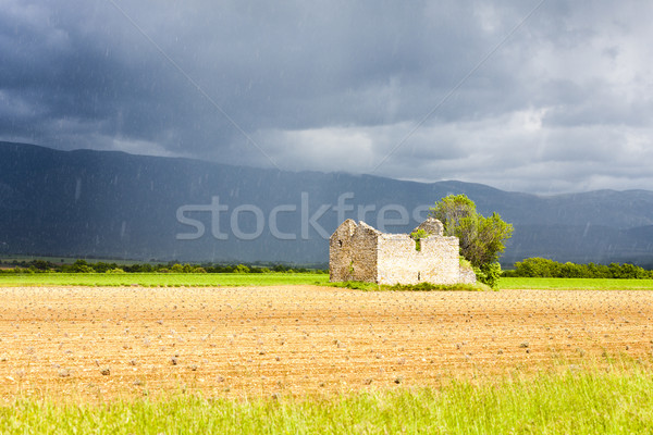 field with a ruin of house and tree, Plateau de Valensole, Prove Stock photo © phbcz