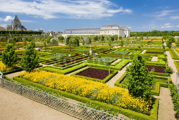 Villandry Castle''s garden, Indre-et-Loire, Centre, France Stock photo © phbcz