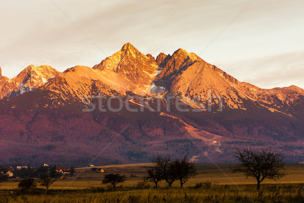 surroundings of Lomnicky Peak, Vysoke Tatry (High Tatras), Slova Stock photo © phbcz