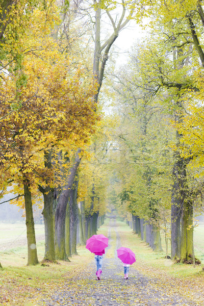 Mutter Tochter Regenschirme herbstlich Gasse Frau Stock foto © phbcz