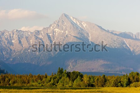 Foto stock: Montanha · alto · Eslováquia · paisagem · montanhas · europa