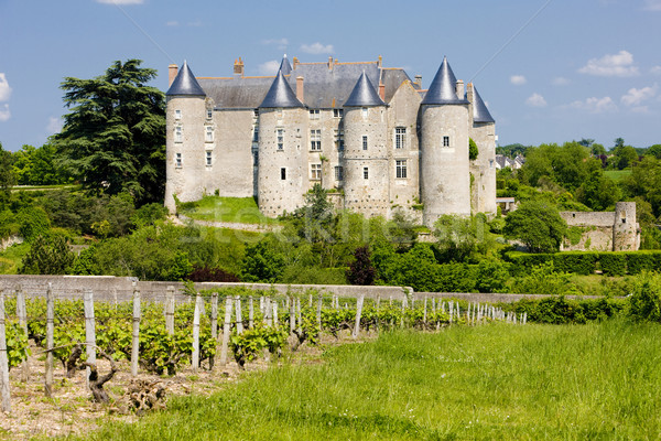 Luynes Castle with vineyard, Indre-et-Loire, Centre, France Stock photo © phbcz