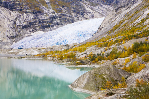 Nigardsbreen Glacier, Jostedalsbreen National Park, Norway Stock photo © phbcz