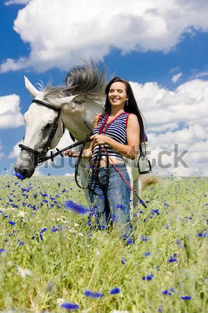 Stock photo: equestrian on horseback