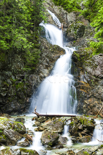 Dolny Necersky waterfall, High Tatras, Slovakia Stock photo © phbcz