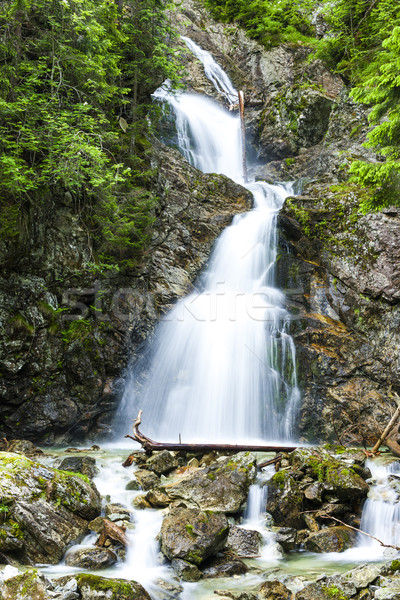 Cascada alto Eslovaquia agua Europa caída Foto stock © phbcz