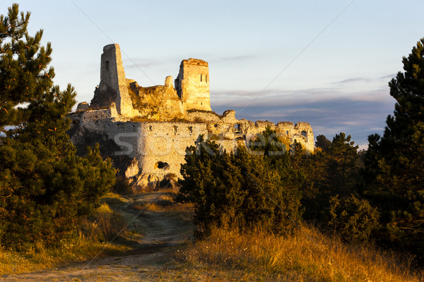 Ruinen Burg Slowakei Gebäude Architektur Europa Stock foto © phbcz