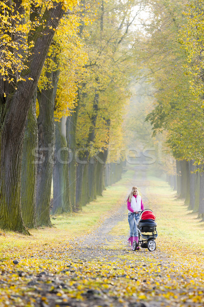 Frau Kinderwagen Fuß herbstlich Gasse Baby Stock foto © phbcz