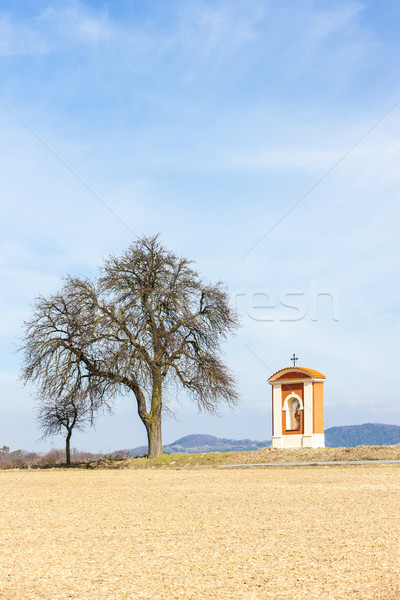 Foto d'archivio: Regione · Repubblica · Ceca · albero · costruzione · architettura