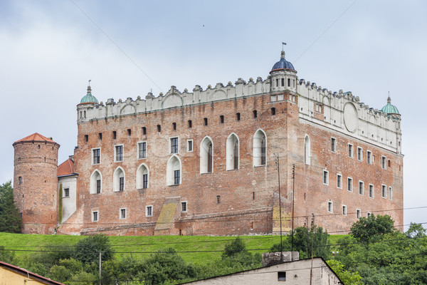 Castillo Polonia viaje arquitectura Europa historia Foto stock © phbcz