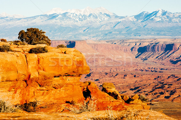 Park Utah USA landschap rotsen stilte Stockfoto © phbcz
