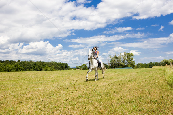 Stock photo: equestrian on horseback