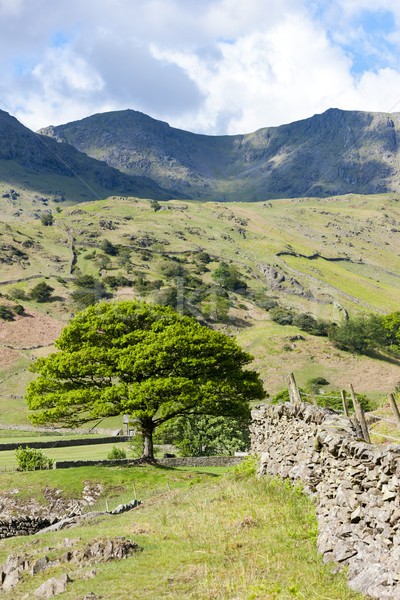 landscape of Lake District, Cumbria, England Stock photo © phbcz