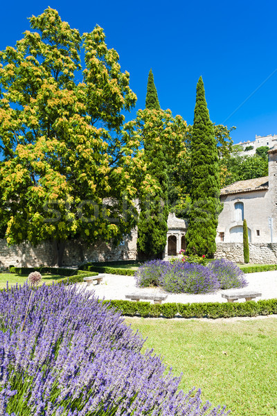 garden in Les Baux de-Provence, Provence, France Stock photo © phbcz