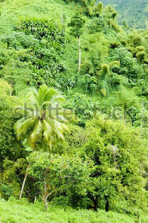 inland of Grenada, Caribbean Stock photo © phbcz