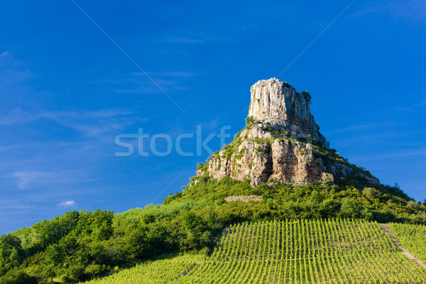 La krajobraz podróży rock winorośli skał Zdjęcia stock © phbcz