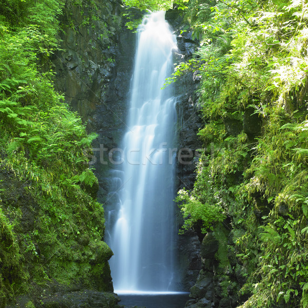 Cranny Falls, County Antrim, Northern Ireland Stock photo © phbcz