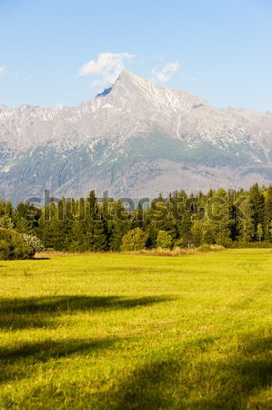 Krivan, Vysoke Tatry (High Tatras), Slovakia Stock photo © phbcz