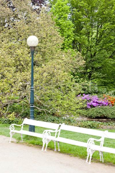 park in Karlovy Vary (Carlsbad), Czech Republic Stock photo © phbcz