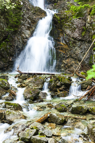 Stockfoto: Waterval · Slowakije · water · Europa · vallen · stream