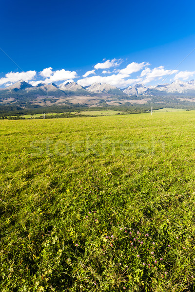 Batı yüksek Slovakya manzara Avrupa çayır Stok fotoğraf © phbcz