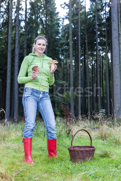 mushroom picking woman Stock photo © phbcz