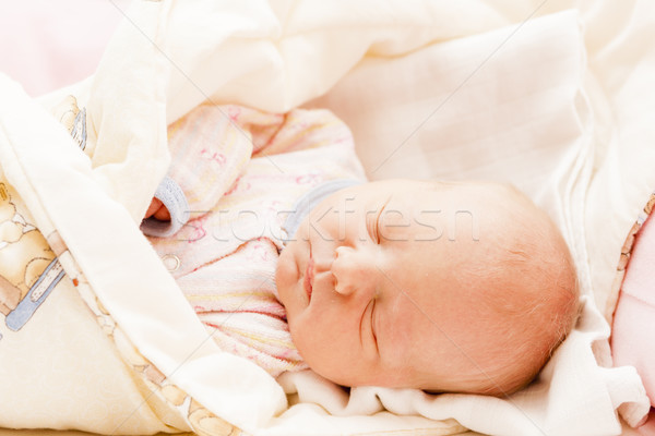 portrait of a newborn baby girl Stock photo © phbcz