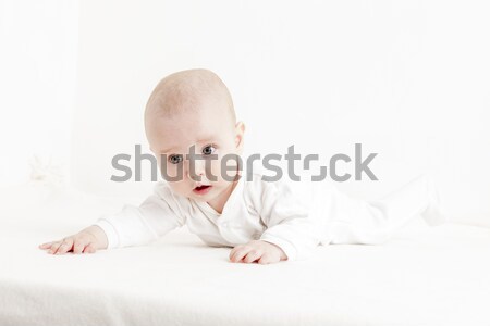 five months old baby girl Stock photo © phbcz