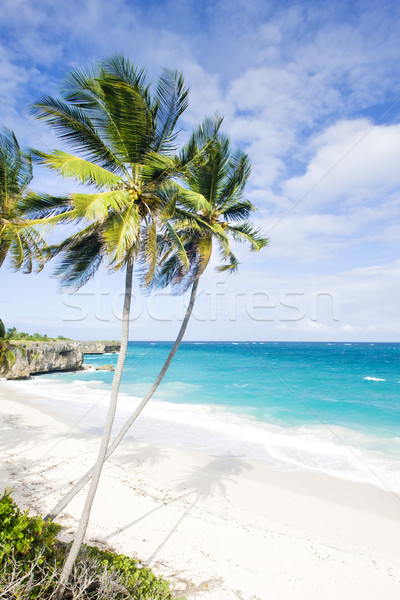 Bottom Bay, Barbados, Caribbean Stock photo © phbcz
