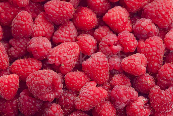 raspberries Stock photo © phbcz