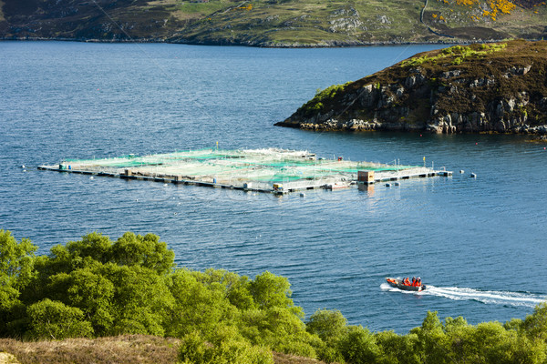 salmon farm, Loch a Chairn Bhain, Highlands, Scotland Stock photo © phbcz