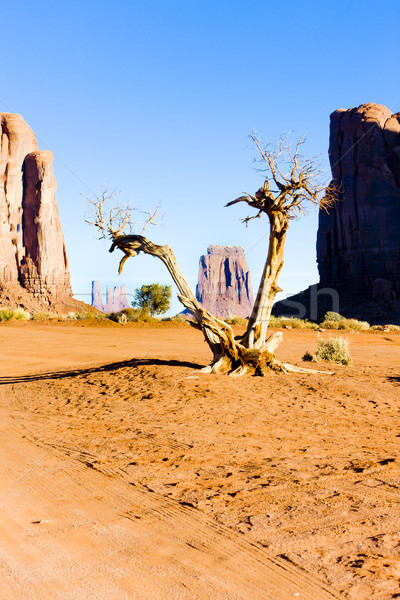 The North Window, Monument Valley National Park, Utah-Arizona, U Stock photo © phbcz