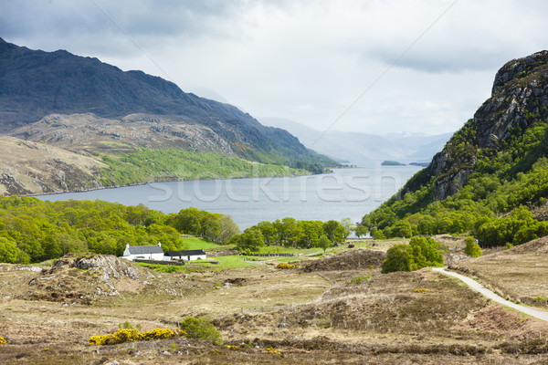 Loch Maree, Highlands, Scotland Stock photo © phbcz